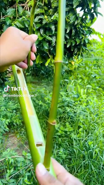 bamboo crafts #diy #craft #bamboo #DIY