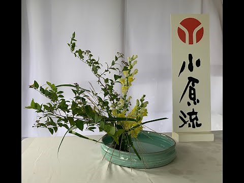 An Ikebana Class: Slanting Style - Low Bowl