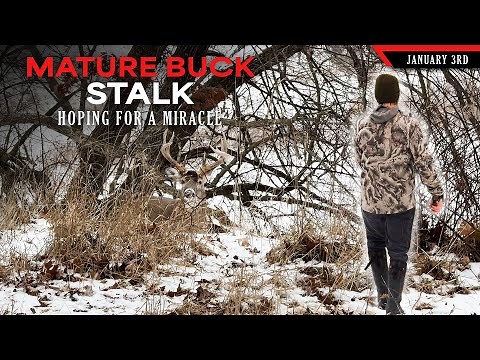 Long Shot Stalk on a Mature Buck | Bowhunting Whitetails w/ Bill Winke
