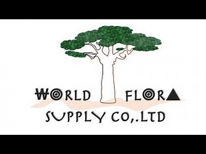 Behind the scenes at World Flora Supply — here’s how we carefully pack every order