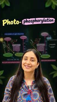 What is Photo-phosphorylation? | Cyclic & Non-cyclic Photo-phosphorylation #shorts #neet #class11