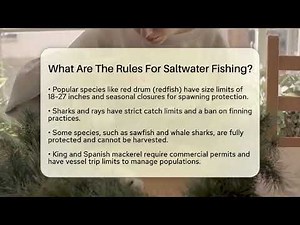 What Are The Rules For Saltwater Fishing? - Southern Culture Collective