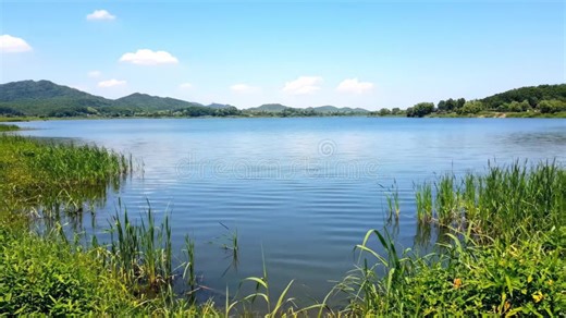 Panoramic View of the Lake's Natural Scenery,Generative AI Stock Video - Video of magnificent, clouds: 449858333