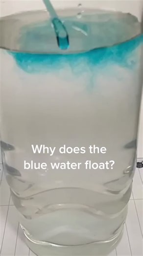 How can water density change? 🤔#learnontiktok #science #scienceexperiments #scienceforkids #water #density