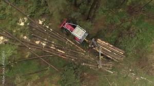 AERIAL DISTANCING Flying above logging truck lifting pile of delimbed cut tree trunks on the stacked tractor on forest clearing. Forwarder loading harvest for the transportation from stumps to sawmill Stock Video