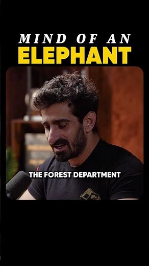 Mind Of An Elephant | ‪@Junglekeeper‬ - Raj Shamani #shorts