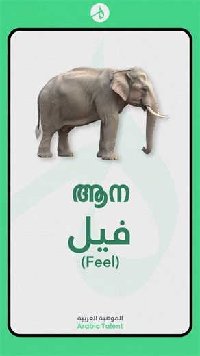 പൂച്ച, നായ, സിംഹം, ആന, പക്ഷി | Learn Spoken Arabic | Best Spoken Arabic Academy |# Arabic Talent