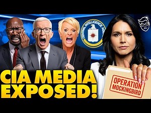 I Asked DNI Tulsi Gabbard About The CIA's 'Operation Mockingbird' Her Honest Answer SHOCKS Internet…