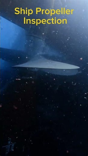 Ship Underwater inpection / Commercial Diving / #diving