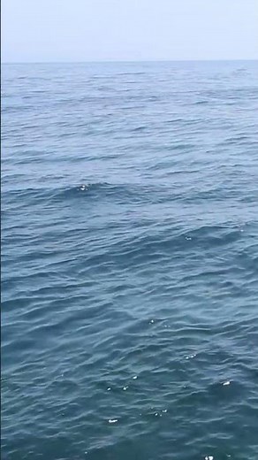 Calm Sea and Sound of Surf