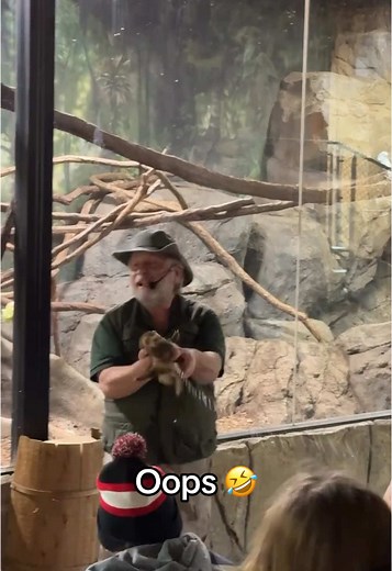 Funny Zoo Animal Moments: Hilarious Accidents