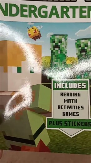 Minecraft Official Workbook at Walmart !!