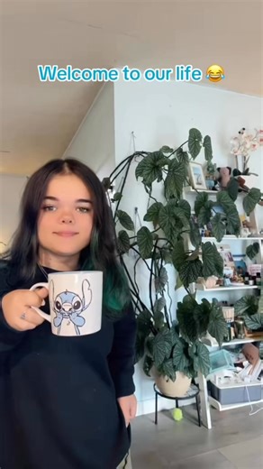 Welcome to our Sh&t show! The house of Gumdrop wishes you a great day! #gumdropgoblin #comedy #gumdropandmom #goodmorningpost #laughter | Lydia Nancy Barnes