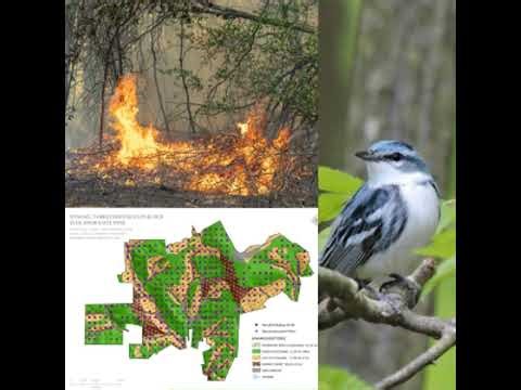 S.6 Ep.6: Landscape Change: Dynamic Forest Restoration Blocks