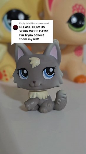 Cat Sounds That Attract Cats