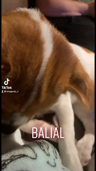 Imogen Byron (@imogenb_x)’s videos with original sound - Imogen Byron