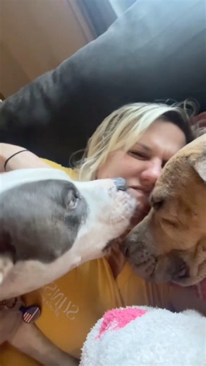 I’m glad their enjoying today #dogsoftiktok #dogmomsofinstagram #dogsofinstagram #rescuedog #dogmomlife | Lifewithjen&pups | Facebook