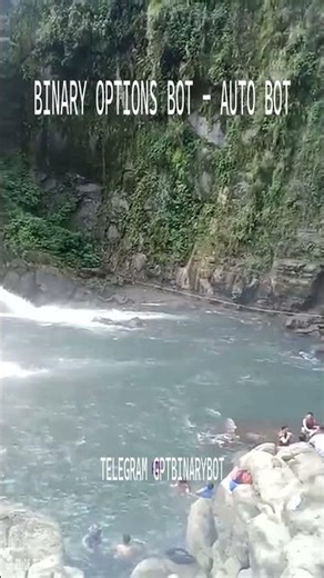 BINARY OPTIONS BOT 2026 - Witness 98.4% Accuracy In Real-Time Automated Trading #shorts