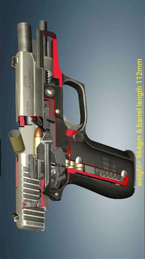 SIG Sauer made p226 pistol