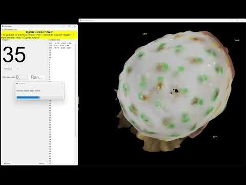 Auto EEG Loc Demo: BrainProducts EasyCap M10