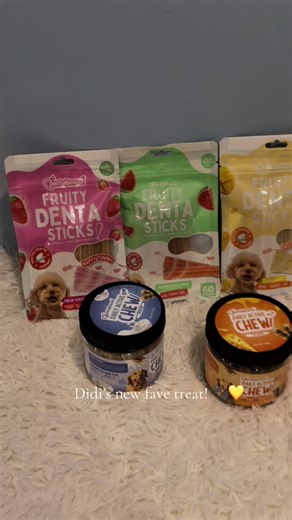Didi's Favorite Dog Treat: A Pawsitive Review!