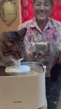 Petlibro Dockstream 2 Smart Cordless Water Fountain and Luma Smart Litter box #Petlibro #Cats