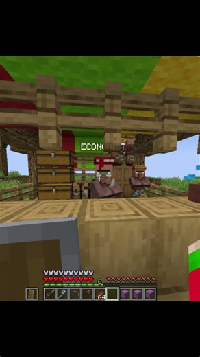 I Traded With the Most Experienced Trader in Minecraft!