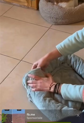 Comment créer un panier pour le chat avec une serviette? | Au paradis du Chat