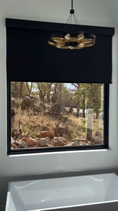 Don't let peeking eyes ruin your routine! Whether it's nosy neighbors or curious wildlife, our automated roller shades give you privacy on demand no matter the time of day. | Budget Blinds