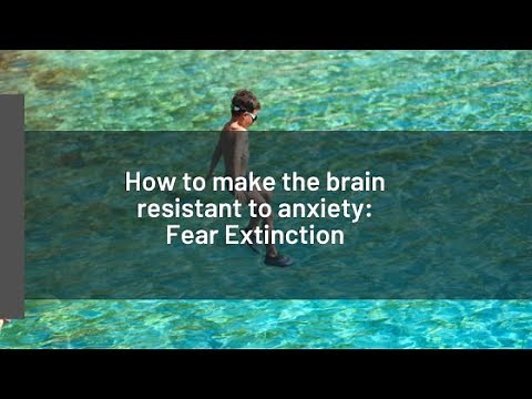 How does Fear Extinction Rewire the Brain for Calm?