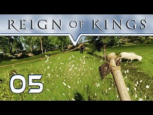 REIGN OF KINGS ★ #05 Trouble in Leder ★ Multiplayer Gameplay Deutsch German