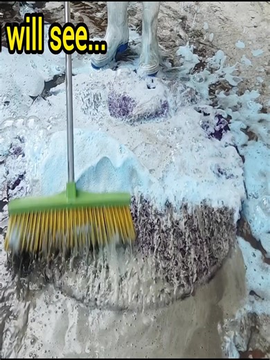 How to Restore Rugs Like New | Powerful Cleaning Method | Pro Carpet