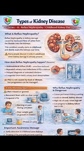 Series Name: Types of Kidney Disease Series – 8 : Reflux Nephropathy / Childhood Kidney Damage What is Reflux Nephropathy? Reflux Nephropathy is kidney damage caused by backward flow of urine from the bladder into the kidneys. This condition usually starts in childhood and slowly scars the kidneys over time. ⚠️ Many people discover it only in adulthood, when kidney damage is already present. How does Reflux Nephropathy happen? (Reasons) Vesicoureteral reflux (VUR) – urine flows backward Repeated