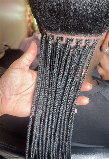 The Art of Knotless Braids: A Florida Perspective