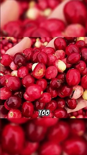 Why Cranberry Farmers Don’t Kill Wolf Spiders