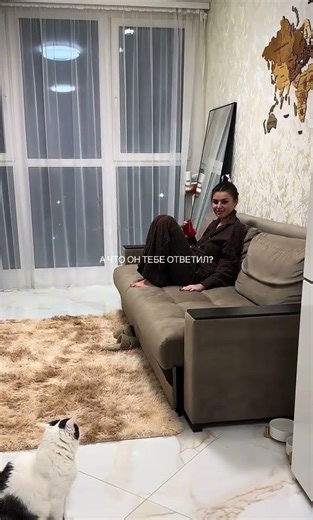 A conversation between a cat and its owner. Do you understand your pets?