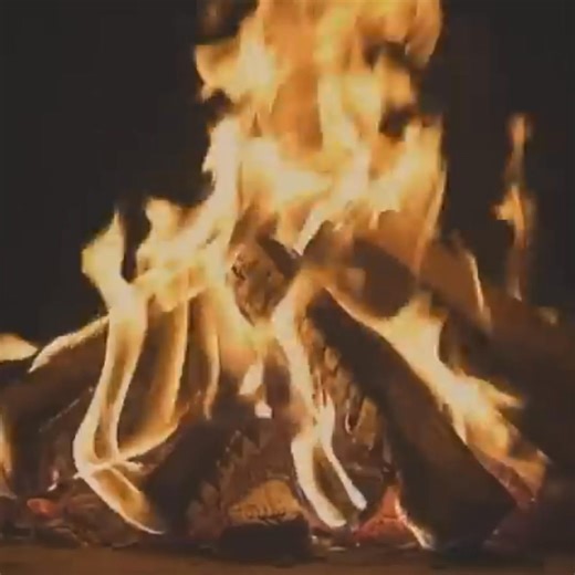 The Number Didn’t Exist, But The Voice Did The story only gets darker from here… dare to find out what happens next in the comments. | The Hidden Scream