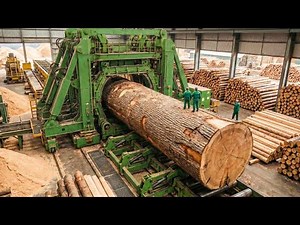 Inside a Giant Pine Wood Factory – How Precision Timber Planks Are Perfected | Full Process