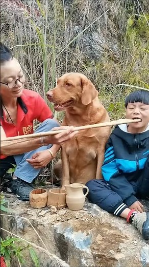Embrace the joys of raising a dog in rural life. Eat #4