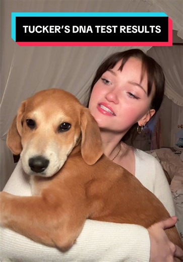 Tucker's DNA Test Results Unveiled