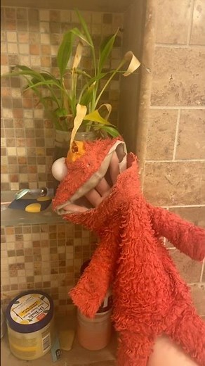 elmo world dorothy bathrooms question and mr noodle