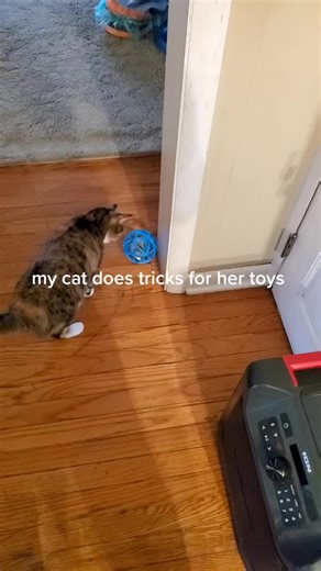 Becky Miller on TikTok