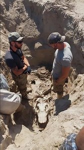 Quarry Dig Exposes Fossil With Unusual Preservation