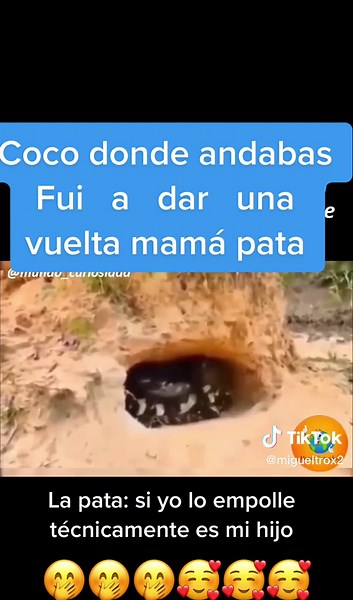 Baby Snakes Emerging from Burrow: Nature's Miracle