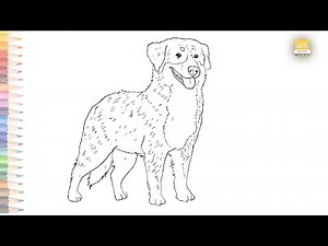 Bernese Mountain Dog drawing easy | How to draw A Dog | Step by step drawings | Outline drawings