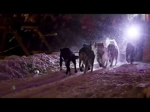 35th running of the UP200 dog sled race