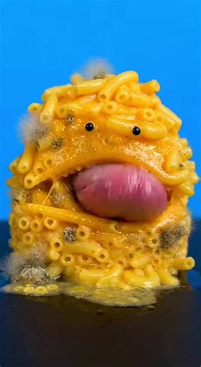 Here are some excellent homemade mac and cheese recipes ranging from quick stovetop to rich baked versions. 🧀🍝 ⸻ 🧀 Classic Creamy Stovetop Mac & Cheese Ready in ~20 minutes Ingredients \t•\t8 oz elbow macaroni \t•\t2 tbsp butter \t•\t2 tbsp flour \t•\t2 cups milk \t•\t2 cups shredded cheddar cheese \t•\tSalt & pepper Instructions \t1.\tCook macaroni and drain. \t2.\tMelt butter in a pot and whisk in flour (cook 1 minute). \t3.\tSlowly whisk in milk to make a smooth sauce. \t4.\tSimmer until t