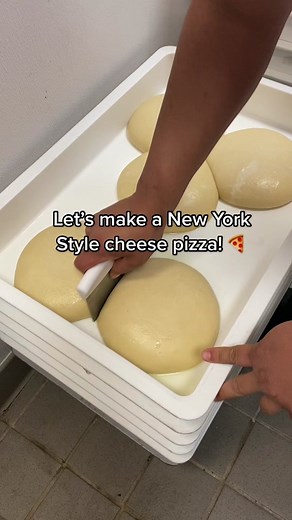 New York Style Cheese Pizza Making Class