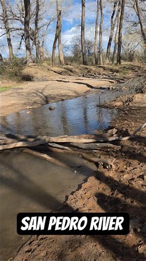 EXPLORING the san pedro river in Sierra Vista arizona #river #adventure #shorts