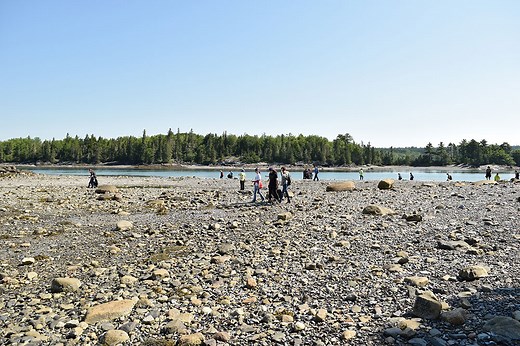 Taft Point - Frenchman Bay Conservancy